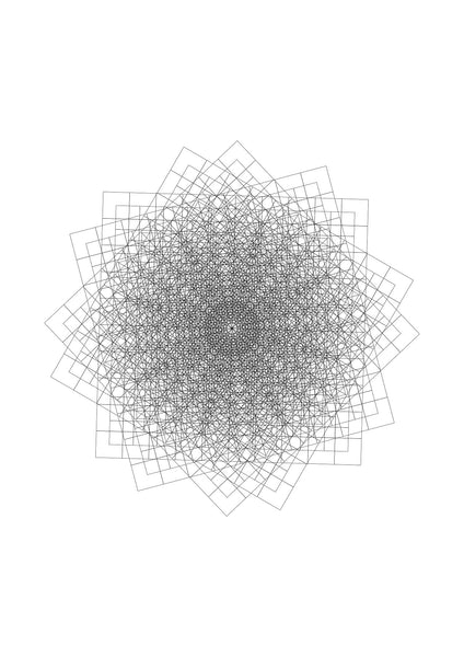 Nest