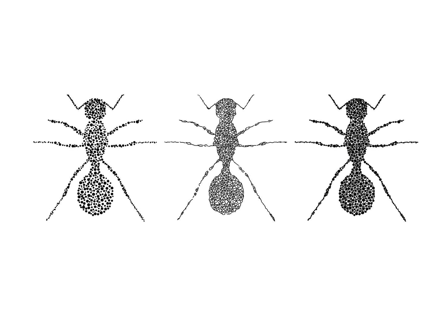 Antx3